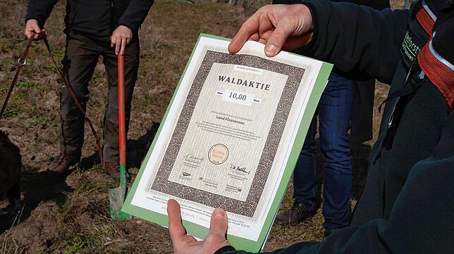 Waldaktie von zehn Euro: Für diesen Betrag können fünf Quadratmeter Wald gepflanzt werden.