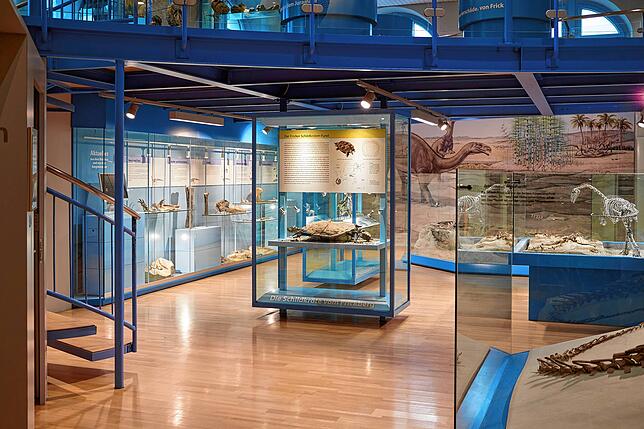 Das Dinosauriermuseum in Frick bietet einen faszinierenden Einblick in die Welt der prähistorischen Riesenechsen.