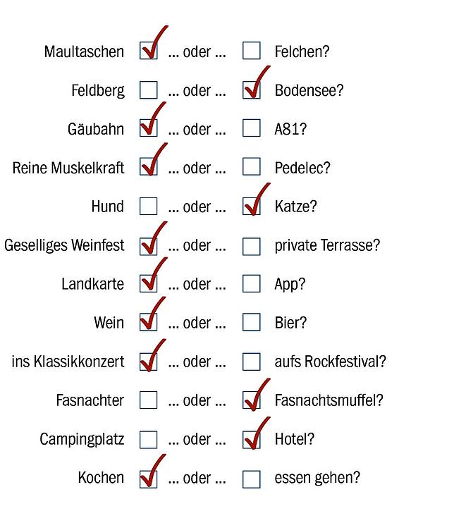 Bild 1: Bundestagswahl 2021: Kandidatin Aynur Karlikli (Die Linke) will für den Wahlkreis Rottweil-Tuttlingen in den Bundestag