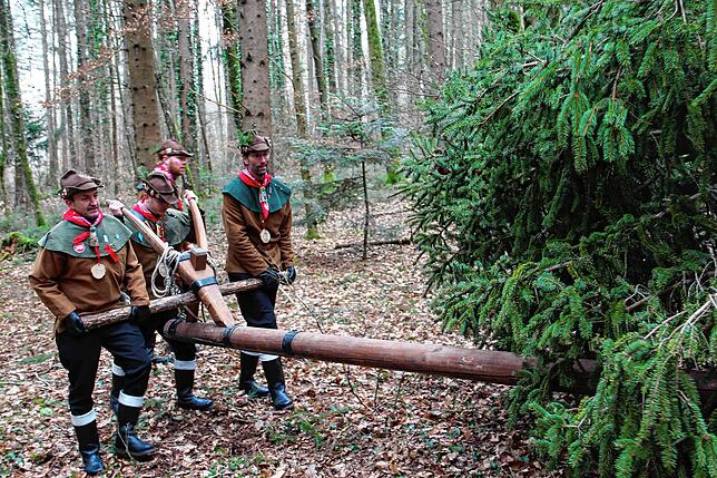 Bild 9: Etz kummt de Narrenbom: So kommt der Narrenbaum aus dem Wald in die Stadt
