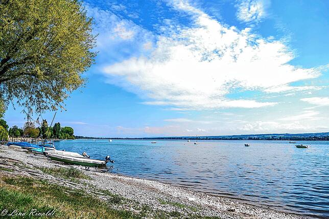 An der Allensbacher Seepromenade. Allensbach liegt am Gnadensee, im westlichen Teil des Bodensees gegenüber der Insel Reichenau.
