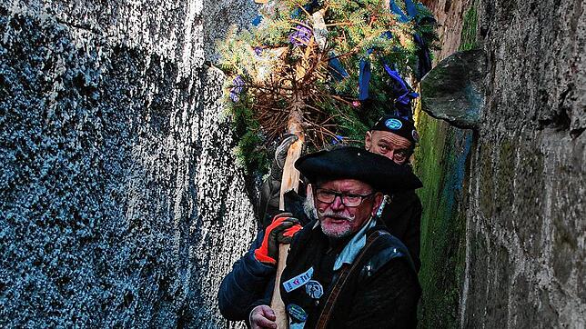 Der 15 Meter lange Narrenbaum wird auf dem Weg zum Anusch&lsquo;s Pub durch das schmale Zitronengässle getragen. Schwerarbeit für Rudi ...