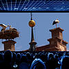 Mit der Multimedia-Show Stadtgeschichten wird am 13. April ein ganz neues Format in den Donauhallen zu sehen sein: Die Störche auf der ...