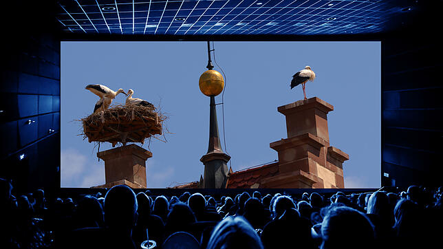 Mit der Multimedia-Show Stadtgeschichten wird am 13. April ein ganz neues Format in den Donauhallen zu sehen sein: Die Störche auf der ...