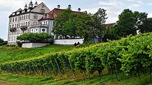 Auf dem Schloss Kirchberg in Immenstaad am Bodensee wurden die ersten Müller-Thurgau Reben in Deutschland heimlich angepflanzt.