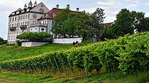 Auf dem Schloss Kirchberg in Immenstaad am Bodensee wurden die ersten Müller-Thurgau Reben in Deutschland heimlich angepflanzt.