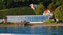 Mehr Sauna, mehr Spa: Die Therme Meersburg, hier vom See aus, sollen saniert werden und mit einem Neubau erweitert werden.