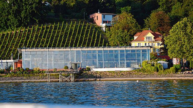 Mehr Sauna, mehr Spa: Die Therme Meersburg, hier vom See aus, sollen saniert werden und mit einem Neubau erweitert werden.