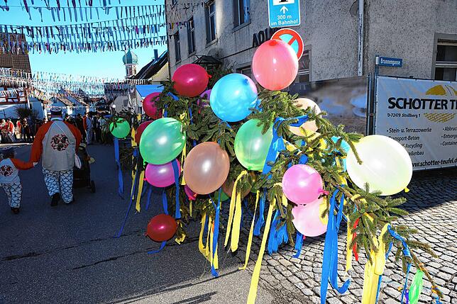 Bild 28: Mit einem Narrenbaumstellen eröffnete Ludwig Egenhofer in Allensbach das Seenarrentreffen 2024
