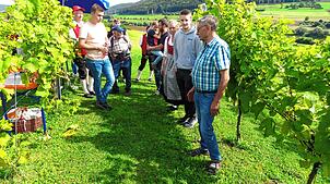 Mehrmals führt Bernhard Huber (vorne rechts) interessierte Festbesucher durch den kleinen Weinberg am Wartenberg. Der Winzer hat viel zu ...