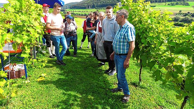 Mehrmals führt Bernhard Huber (vorne rechts) interessierte Festbesucher durch den kleinen Weinberg am Wartenberg. Der Winzer hat viel zu ...