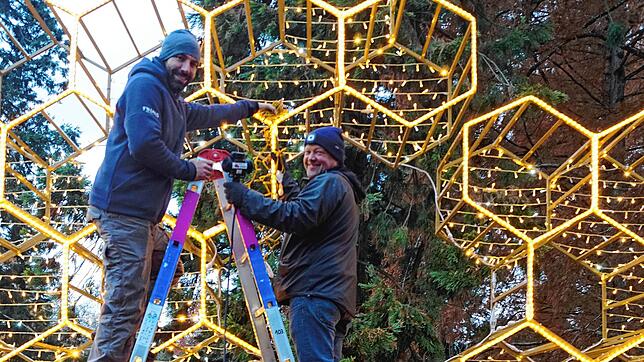 Die Techniker Philipp Matt, Andreas Holl und Konrad Freitag (v.l.) beim Aufbau einer Lichtinstallation auf der Mainau.