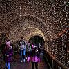 80 Meter, gesäumt von vielen, vielen Lichtern. Eine der Attraktionen des Triberger Weihnachtszauber ist der Lichtertunnel.