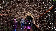 80 Meter, gesäumt von vielen, vielen Lichtern. Eine der Attraktionen des Triberger Weihnachtszauber ist der Lichtertunnel.