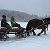 Ein Pferd zieht einen Wagen durch den Schnee (Symbolbild). 1878 machte sich die Stadtmusik Waldshut mit Pferdeschlitten auf den Weg nach ...