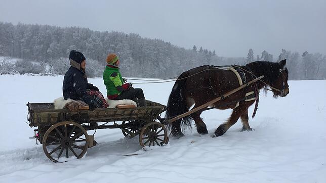 Ein Pferd zieht einen Wagen durch den Schnee (Symbolbild). 1878 machte sich die Stadtmusik Waldshut mit Pferdeschlitten auf den Weg nach ...