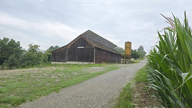 Auf diesem Grundstück eines landwirtschaftlichen Betriebs wird ein größeres Regenrückhaltebecken angelegt werden. Foto: Holger Kleinstück