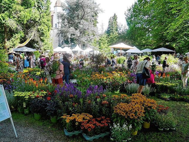 Bild 16: Die schönsten Bilder von der DIGA-Gartenmesse im Bad Säckinger Schlosspark