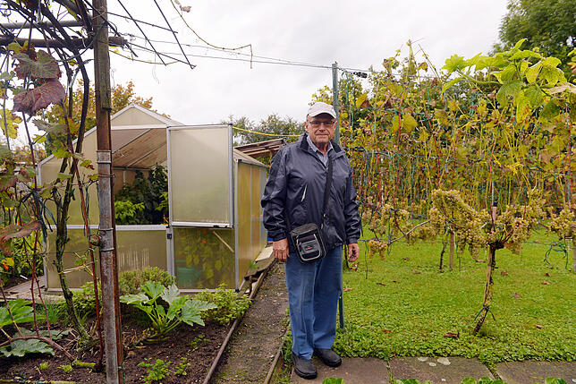 Günther Plappert hat den Garten vor 35 Jahren von seinem Vater übernommen und baut hier Obst und Gemüse für die ganze Familie an.