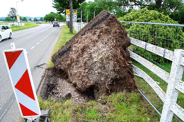 Am Straßenrand klafft ein tiefes Schlagloch. Ein Wall aus Erde, Steinen und Wurzeln ragt neben dem Asphalt etwa zwei Meter in die Höhe.