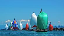 Die Spinnaker blähen sich im Wind bei einem Regattalauf im Konstanzer Trichter anlässlich der Internationalen Bodenseewoche.