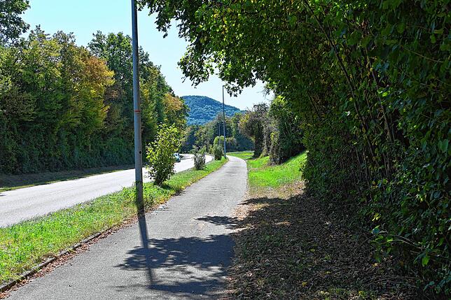 Der Radweg von Wallbach nach Bad Säckingen ist deutlich von der Straße getrennt. In der Mittagshitze bieten Hecken und Bäume hin und ...