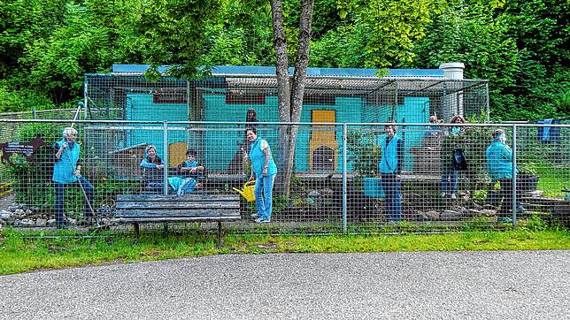 Die Mitglieder haben die Auffangstation im Jubiläumsjahr 2020 noch einmal herausgeputzt. Mittlerweile sieht man der 1966 erbauten ...