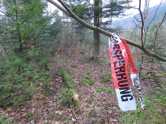 Wenige Meter abseits des oberen Bergseeparkplatzes wurde am ersten Weihnachtsfeiertag 2018 der skelettierte Kopf eines Menschen ...