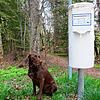 In Mistelbrunn hat man gute Erfahrungen mit Hundetoiletten gemacht. Jetzt soll auch Hubertshofen welche bekommen. Das Thema lässt in dem ...