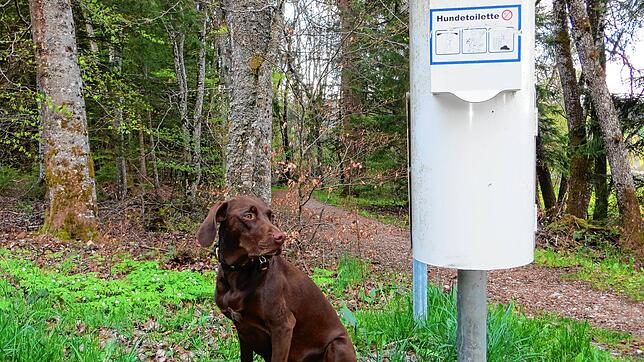 In Mistelbrunn hat man gute Erfahrungen mit Hundetoiletten gemacht. Jetzt soll auch Hubertshofen welche bekommen. Das Thema lässt in dem ...
