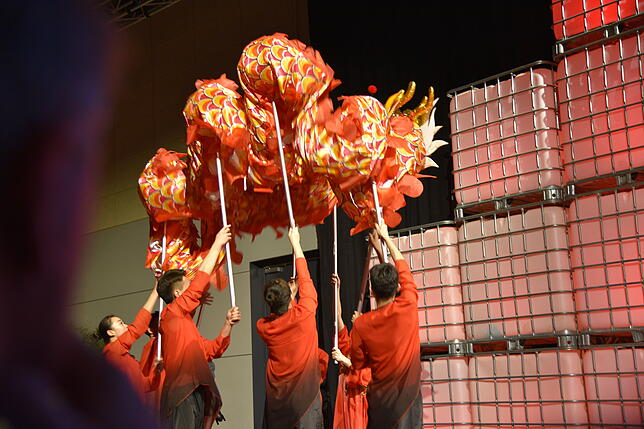 Bild 8: Bilder vom Neujahrsempfang der IHK in Villingen-Schwenningen 2020 (2)