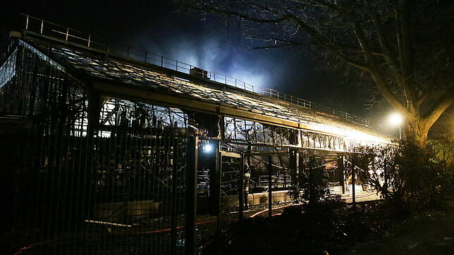Das Affenhaus des Krefelder Zoos nach dem Brand in der Silvesternacht.