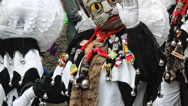 Wer winkt denn da so neckisch? Es ist die Hauptfigur der Meßkircher Fasnet: eine Katze. Mit rund 150 Maskenträgern stellt sie die größte ...