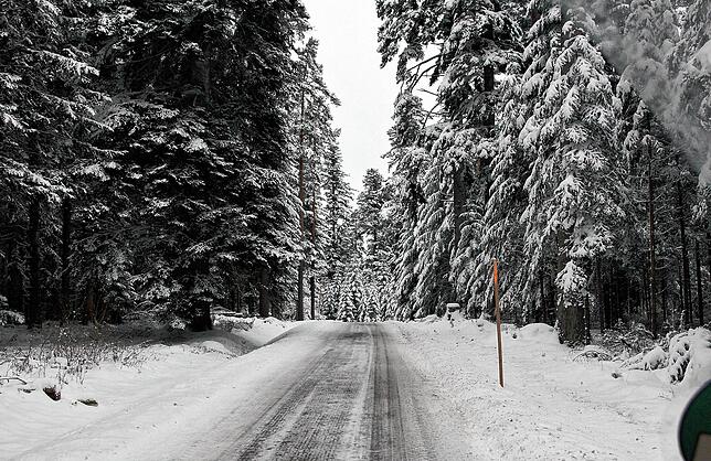 Der Schwarzwald bei Villingen und die Herausforderungen: Das Archivbild zeit, wie im Winter Schnee und Eis schwer auf den geschwächten ...