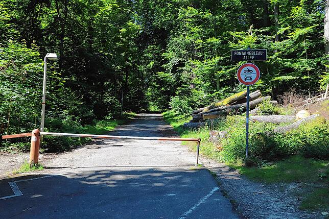 Der Zugang von der Eichhornstraße ist nicht wirklich behindertengerecht. Das soll baldmöglichst geändert werden.