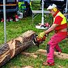 Bild :