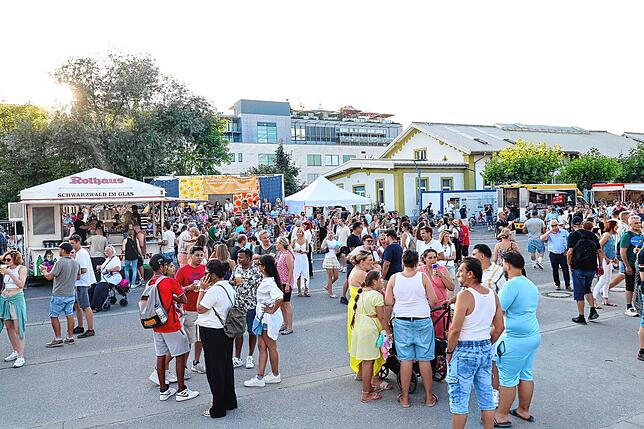 Bild 25: Die Stimmung am Bodensee ist bestens! So feiert Konstanz beim Seenachtfest 2025