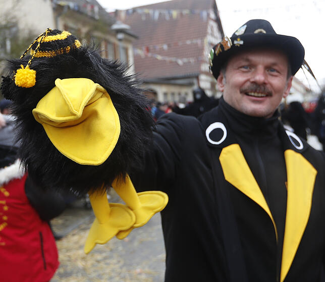 Bild 7: Bilder zum großen Narrentreffen in Pfohren (3)