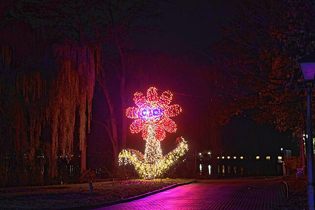 Bild 14: Insel Mainau: Bilder vom Start des Christmas Garden 2023 - Teil 1