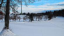 Bild : Der Winter hat zugeschlagen Teil 2