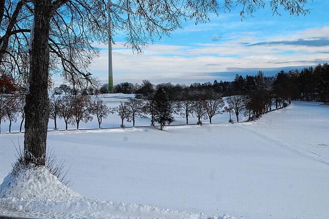 Bild 1: Der Winter hat zugeschlagen Teil 2