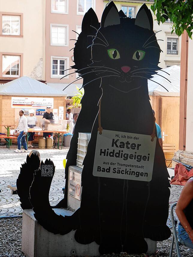 Bild 13: So schön war es am Brückenfest in Bad Säckingen