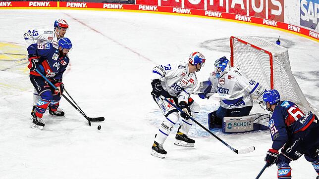 Wild Wings-Torhüter Patrik Cerveny konnte sich gegen Mannheim mehrfach auszeichnen. In dieser Szene vereitelt er die Chance von ...