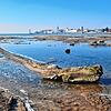 An der Rotachmündung in Friedrichshafen wird der niedrige Wasserstand im Winter besonders sichtbar.