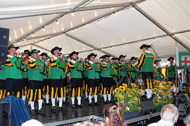 Bild 21: Reichenauer Weinfest 2025 auf der Insel: So beginnt die 44. Ausgabe der Traditionsveranstaltung