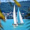 Sind sie bald nicht mehr auf dem ganzen Bodensee zu sehen? Segelboote vor der Insel Mainau.