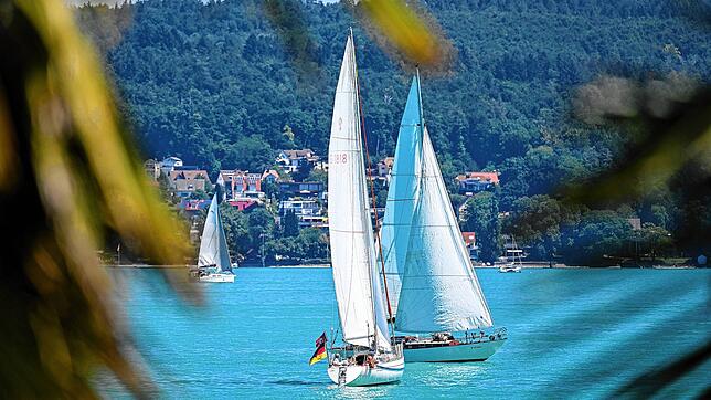 Sind sie bald nicht mehr auf dem ganzen Bodensee zu sehen? Segelboote vor der Insel Mainau.