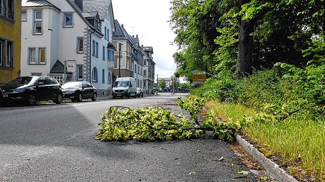 Nach dem Unwetter liegen mehrer abgerissene Äste auf der Friedrichstraße in Villingen.