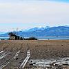 Reifenspuren im verlängerten Bodensee-Ufer: Seit Montag arbeiten die Mitarbeiter der Garten- und Tiefbaubetriebe Lindau an der Insel Hoy.
