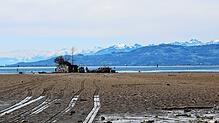 Reifenspuren im verlängerten Bodensee-Ufer: Seit Montag arbeiten die Mitarbeiter der Garten- und Tiefbaubetriebe Lindau an der Insel Hoy.